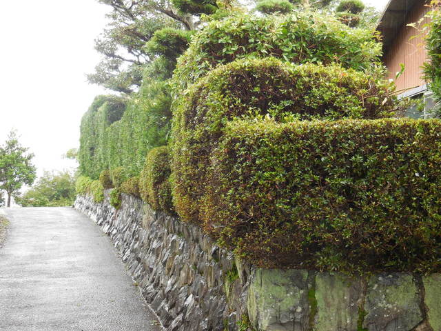 DSCN2265.JPG